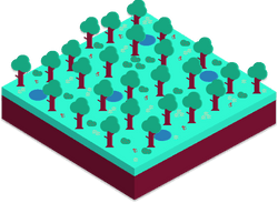 ASN forest